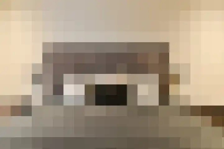 Gustav Mahlerlaan 529 D Amsterdam thumbnail 24