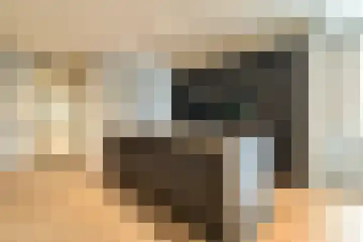 Gustav Mahlerlaan 529 D Amsterdam thumbnail 4