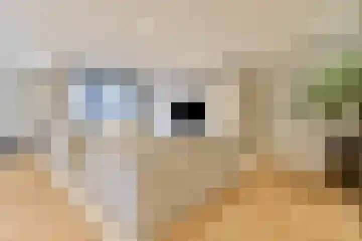 Gustav Mahlerlaan 529 D Amsterdam thumbnail 8