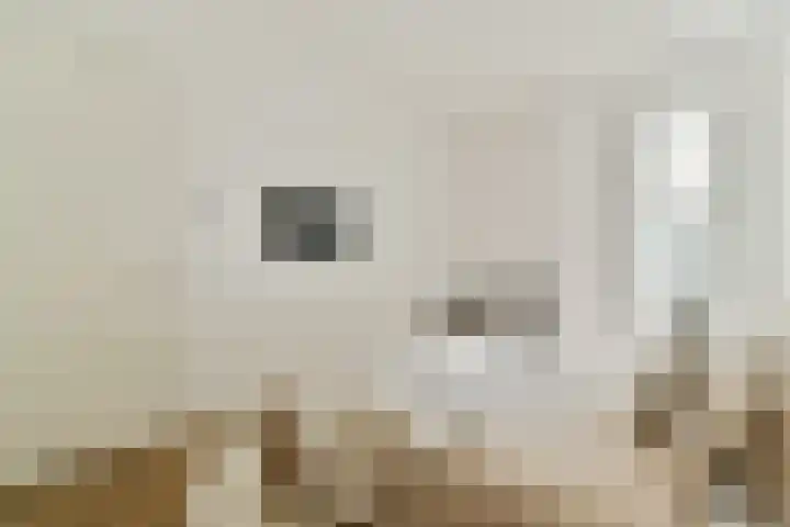 Gustav Mahlerlaan 529 E Amsterdam thumbnail 12