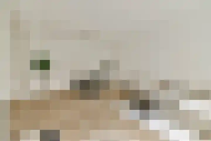 Gustav Mahlerlaan 529 E Amsterdam thumbnail 4