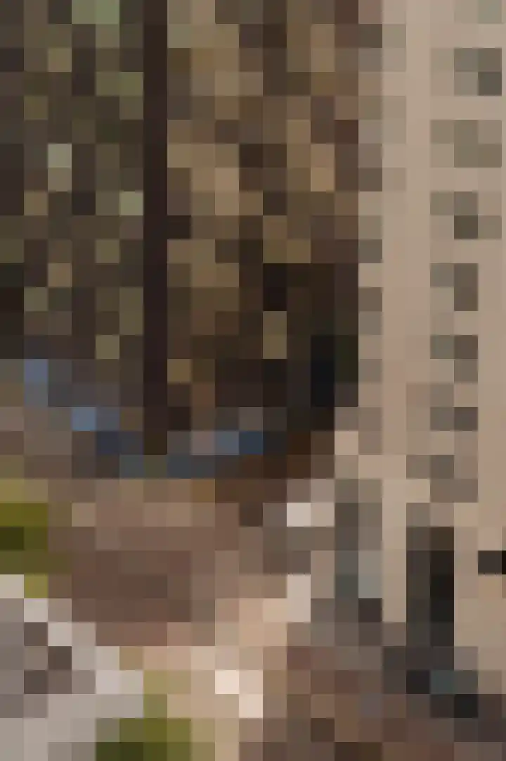Gustav Mahlerlaan 533 C Amsterdam thumbnail 32
