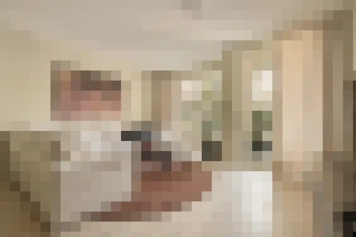 Gustav Mahlerlaan 533 C Amsterdam thumbnail 6