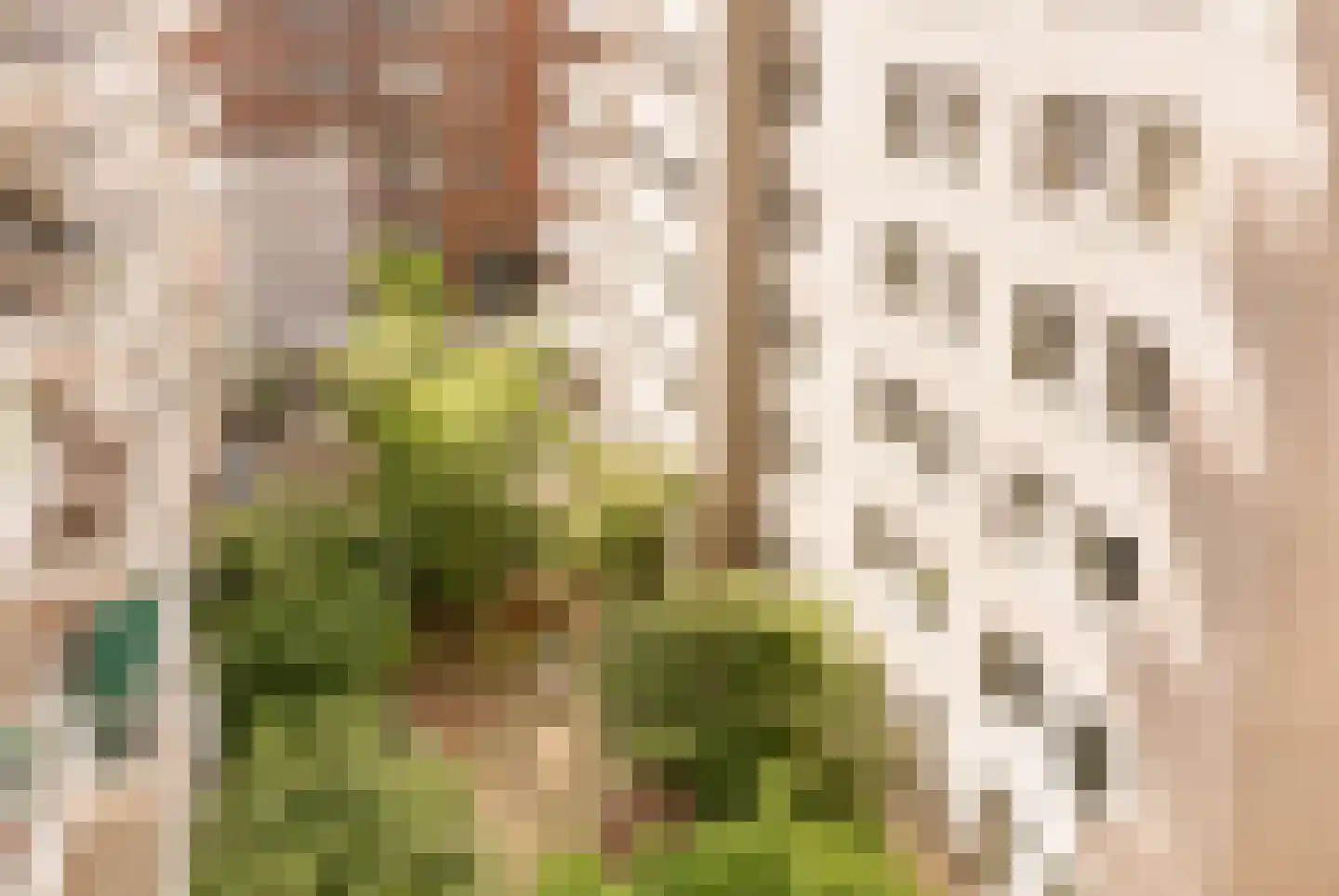 Gustav Mahlerlaan 537 C Amsterdam thumbnail 13