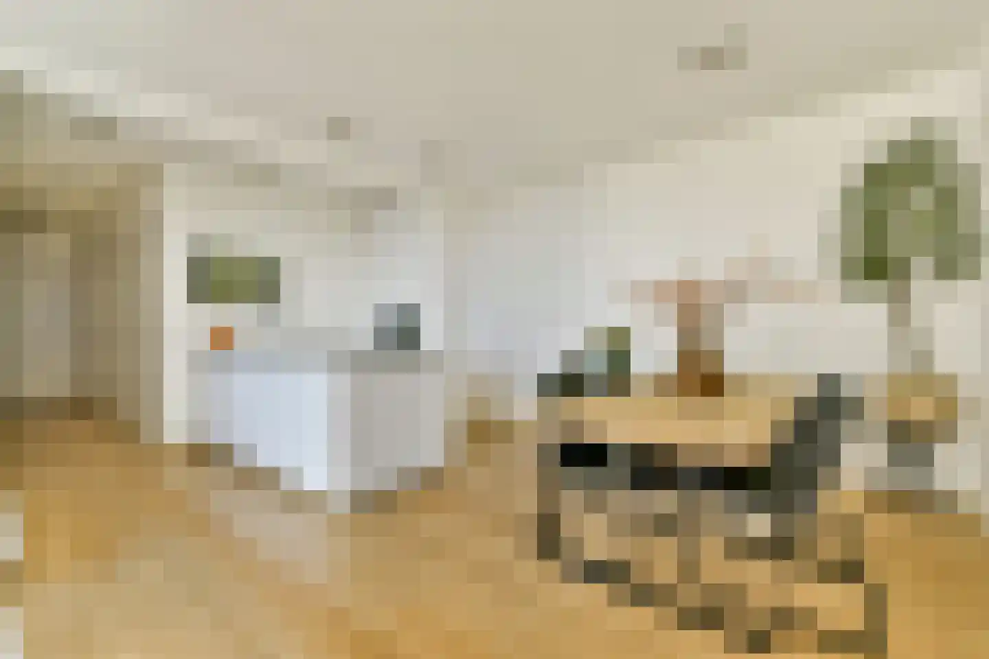 Gustav Mahlerlaan 559 E Amsterdam thumbnail 10