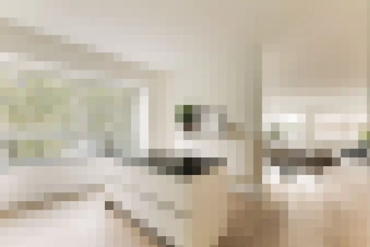 Gustav Mahlerlaan 66 Amsterdam thumbnail 13