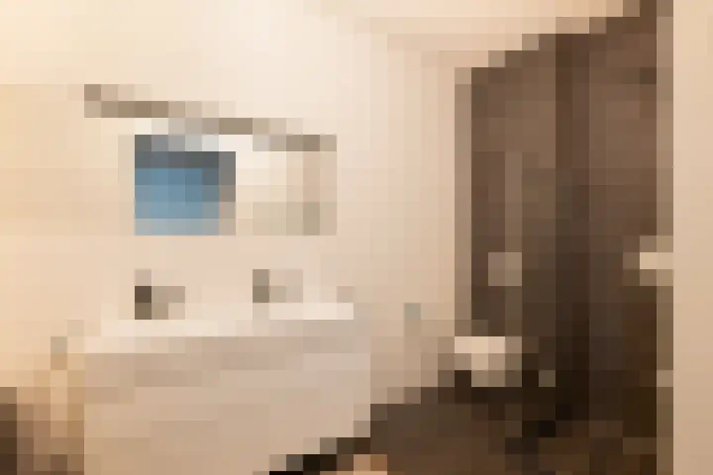 Gustav Mahlerlaan 66 Amsterdam thumbnail 27