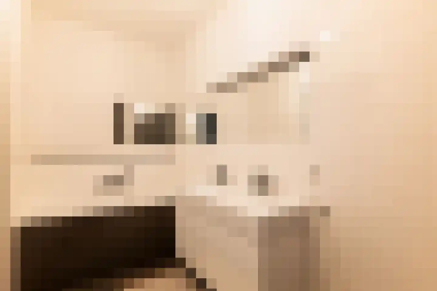Gustav Mahlerlaan 66 Amsterdam thumbnail 29