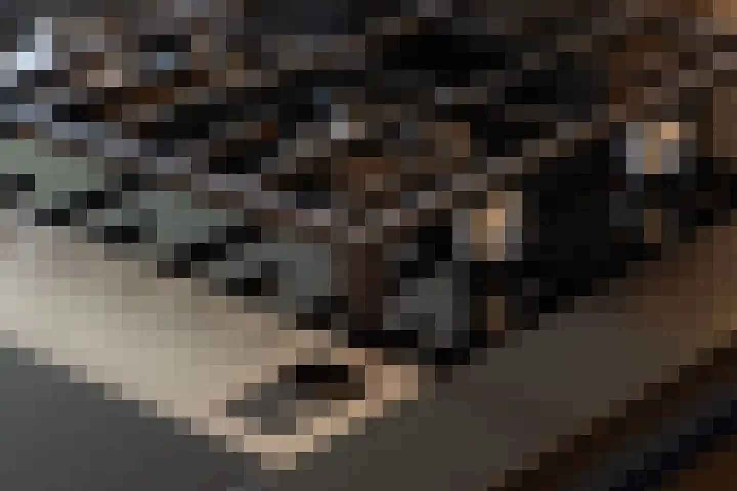 Gustav Mahlerlaan 977 Amsterdam thumbnail 18