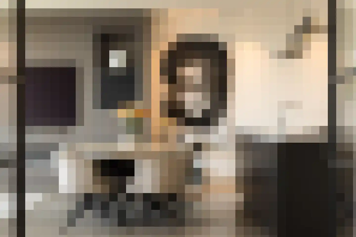 Gustav Mahlerlaan 977 Amsterdam thumbnail 19