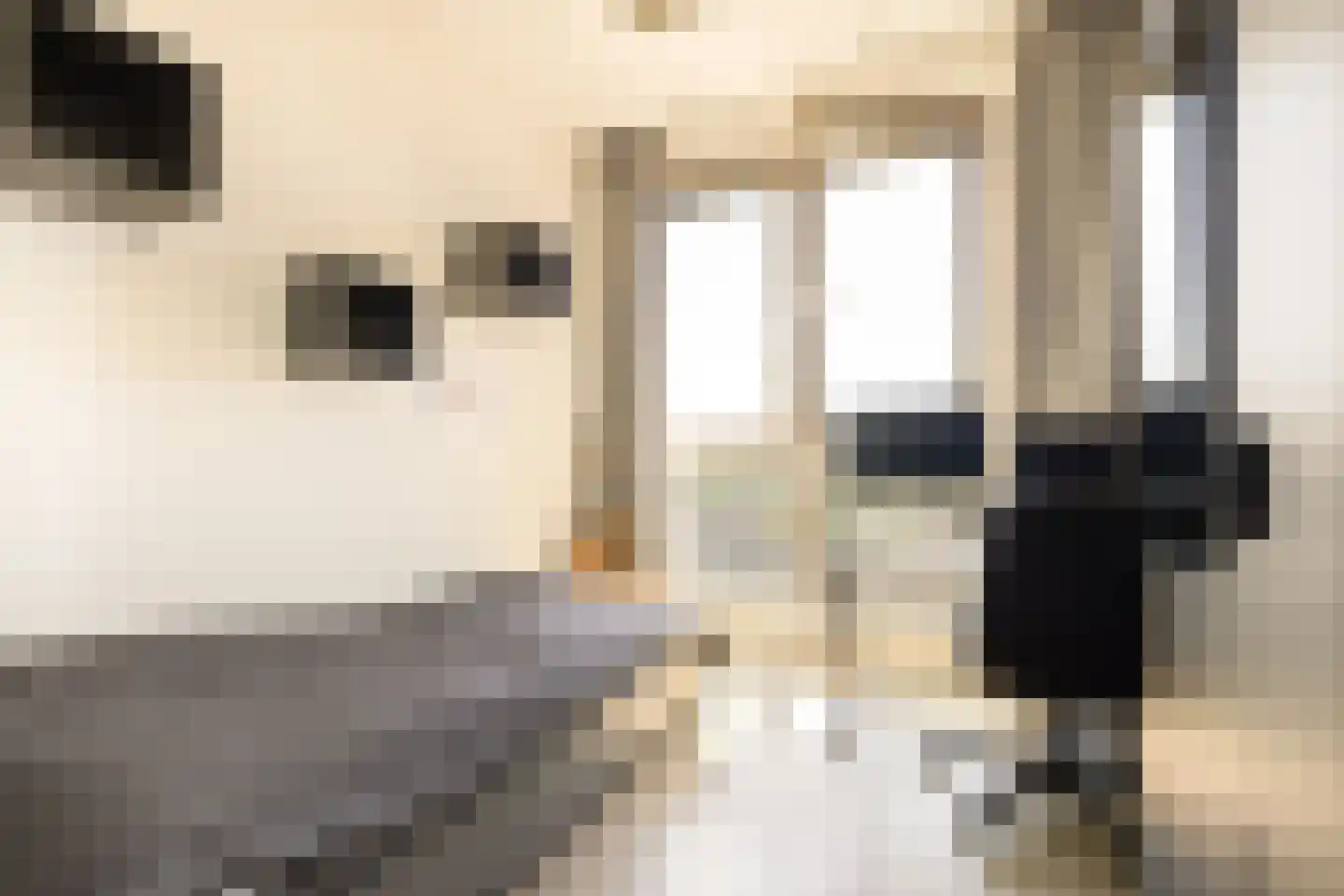Gustav Mahlerlaan 977 Amsterdam thumbnail 37