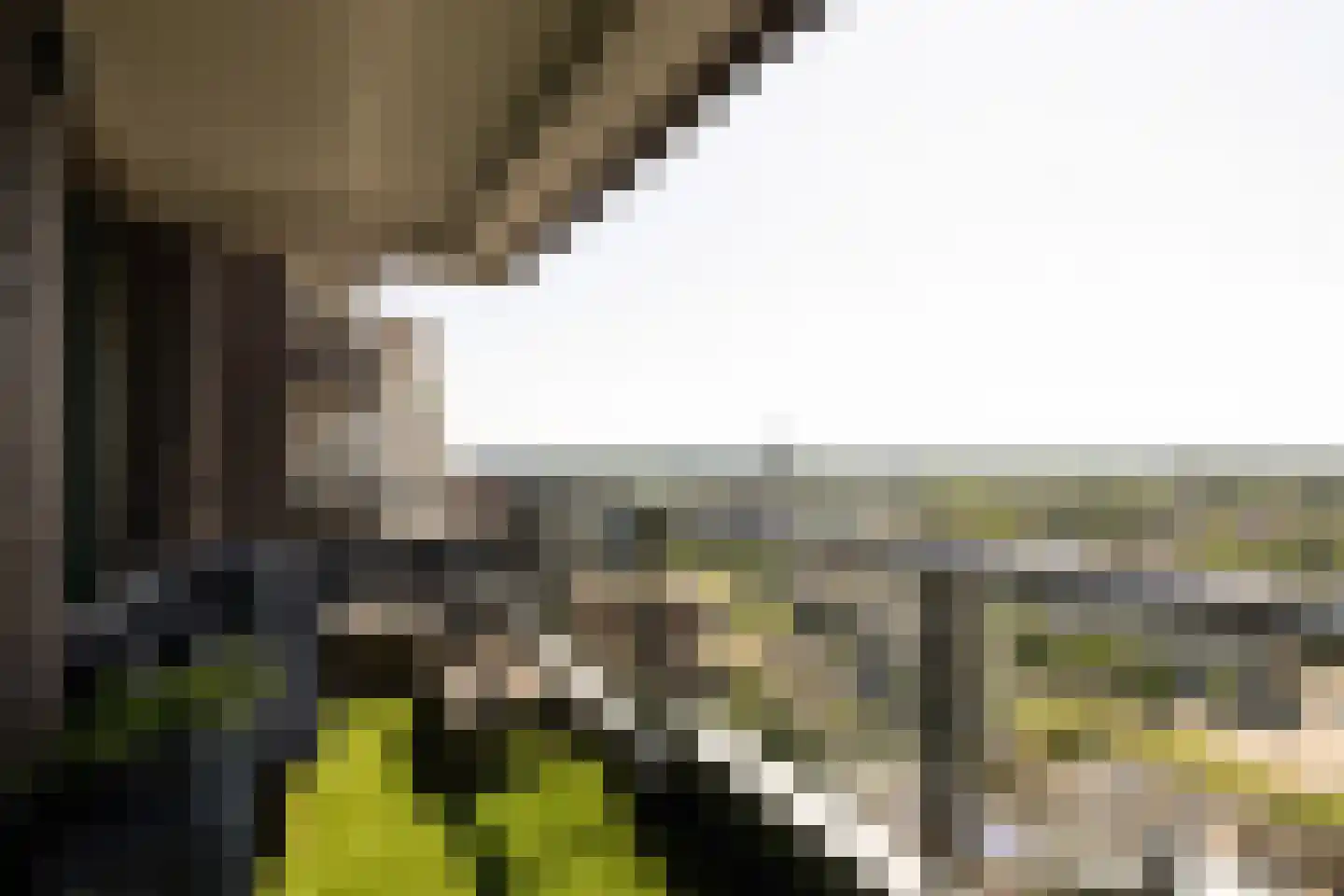 Gustav Mahlerlaan 977 Amsterdam thumbnail 4