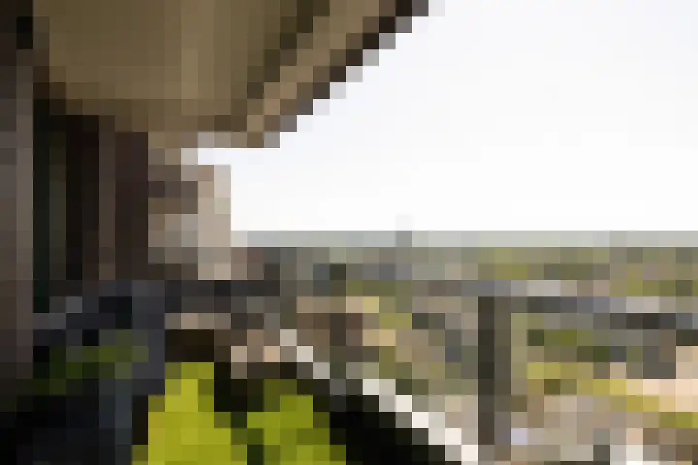 Gustav Mahlerlaan 977 Amsterdam thumbnail 4