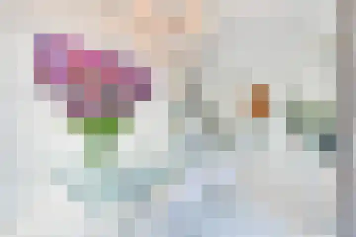 Gustav Mahlerplein 197 Amsterdam thumbnail 13