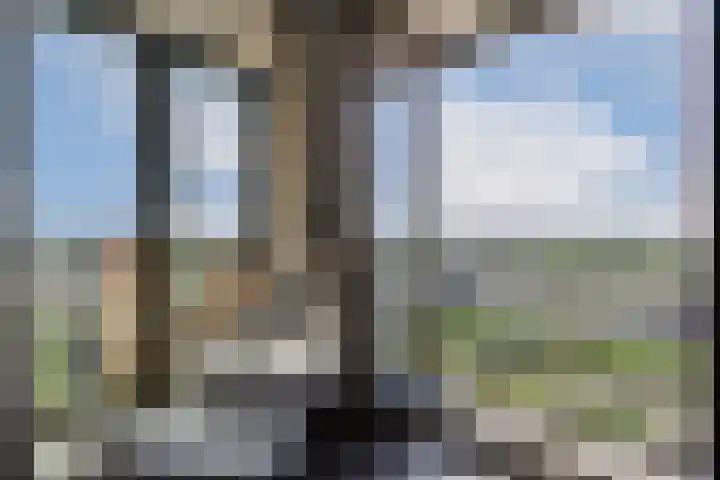 Gustav Mahlerplein 209 Amsterdam thumbnail 10