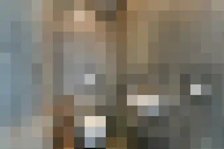 Gustav Mahlerplein 209 Amsterdam thumbnail 17