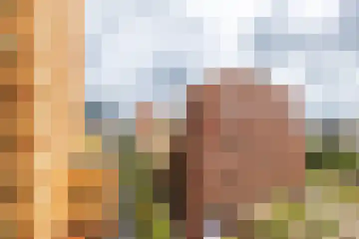 Gustav Mahlerplein 209 Amsterdam thumbnail 19