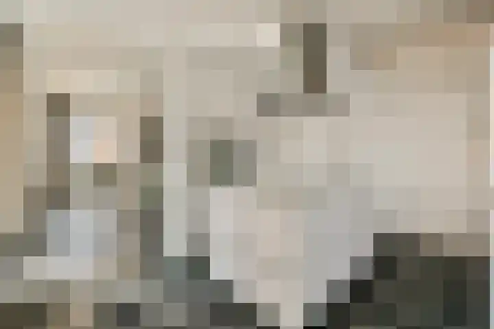Gustav Mahlerplein 209 Amsterdam thumbnail 7