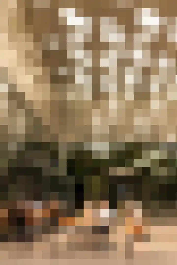 Gustav Mahlerplein 239 Amsterdam thumbnail 31