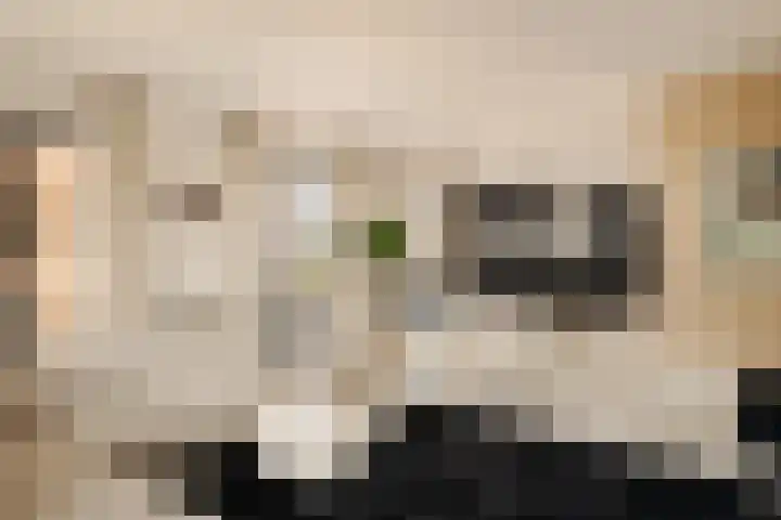 Gustav Mahlerplein 239 Amsterdam thumbnail 7