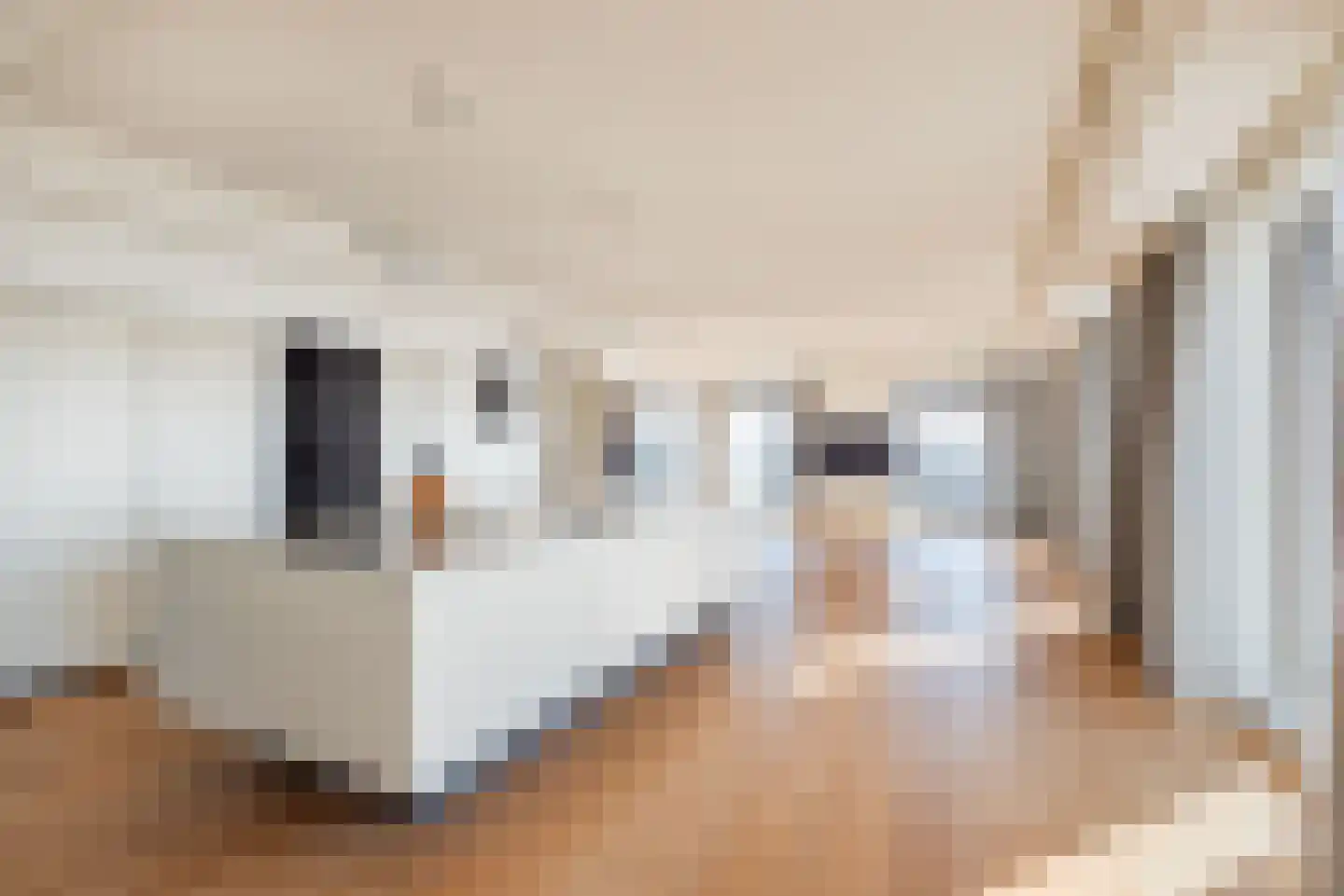 Gustav Mahlerplein 279 Amsterdam thumbnail 16