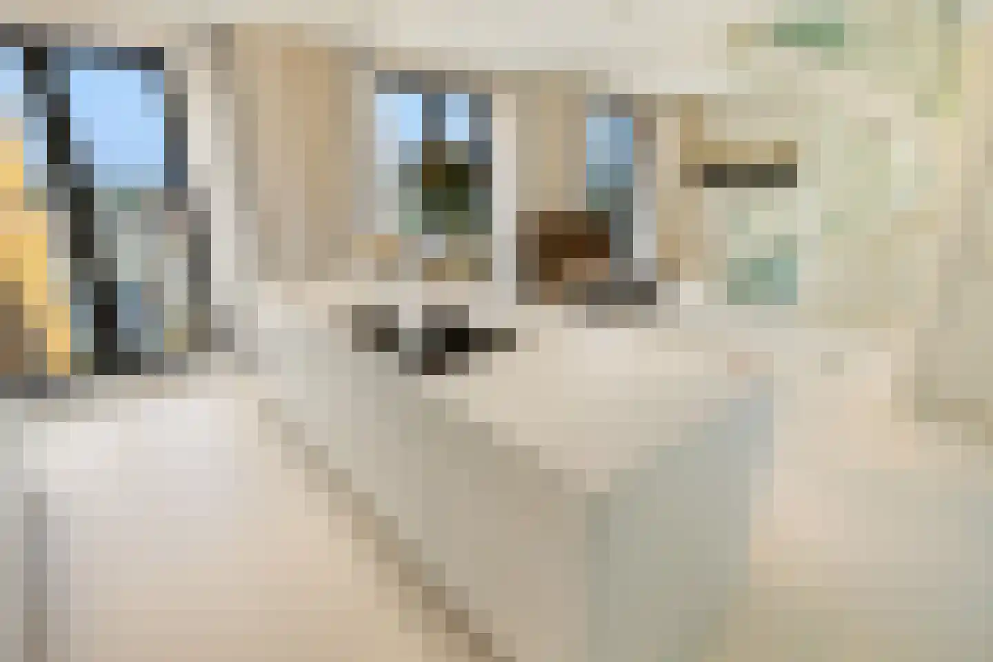 Gustav Mahlerplein 285 Amsterdam thumbnail 5