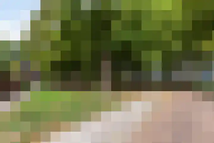 Gustav Stresemannring 11 Vlaardingen thumbnail 37