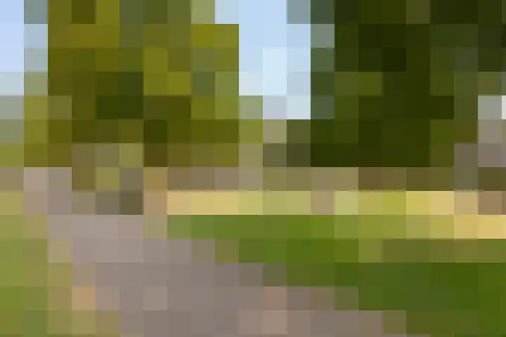 Gustav Stresemannring 11 Vlaardingen thumbnail 41