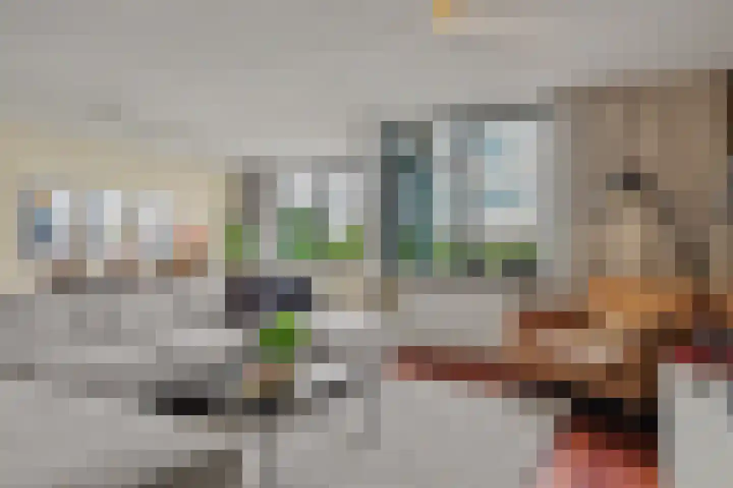 Gustav Vasaborg 58 Schiedam thumbnail 17