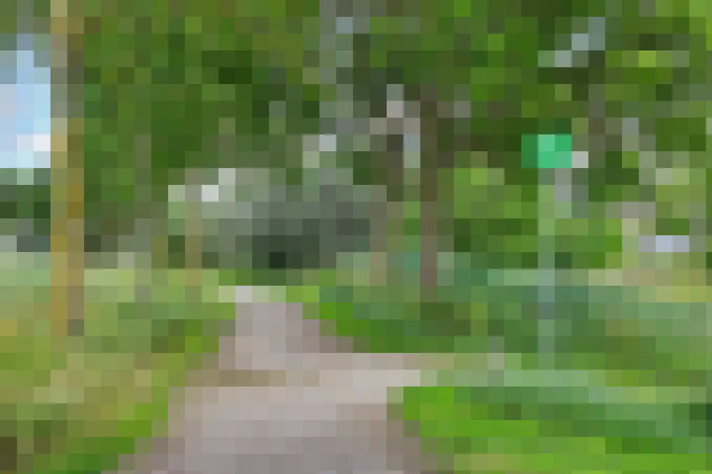 Gustav Vasaborg 58 Schiedam thumbnail 56