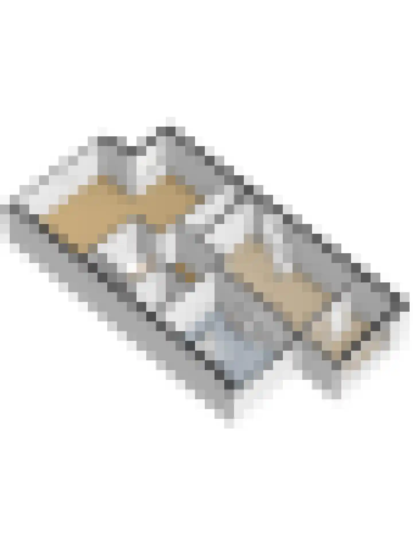 Gustav Vasaborg 58 Schiedam thumbnail 64