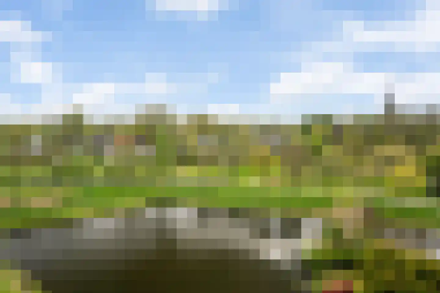 Gustav Vasaborg 60 Schiedam thumbnail 16