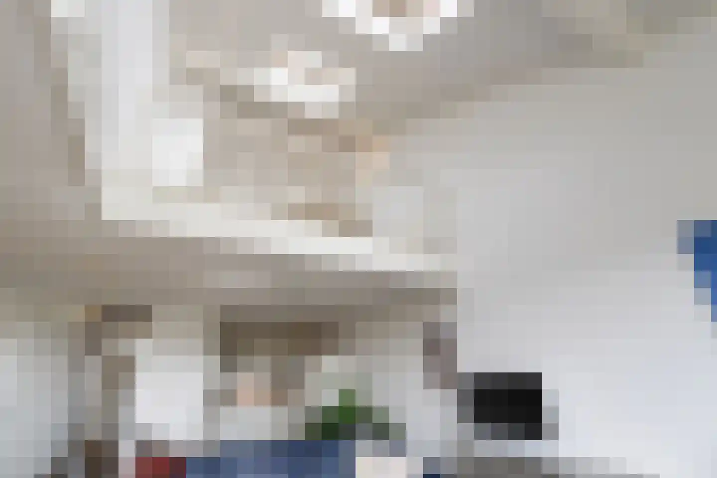 Gustav Vasaborg 60 Schiedam thumbnail 6