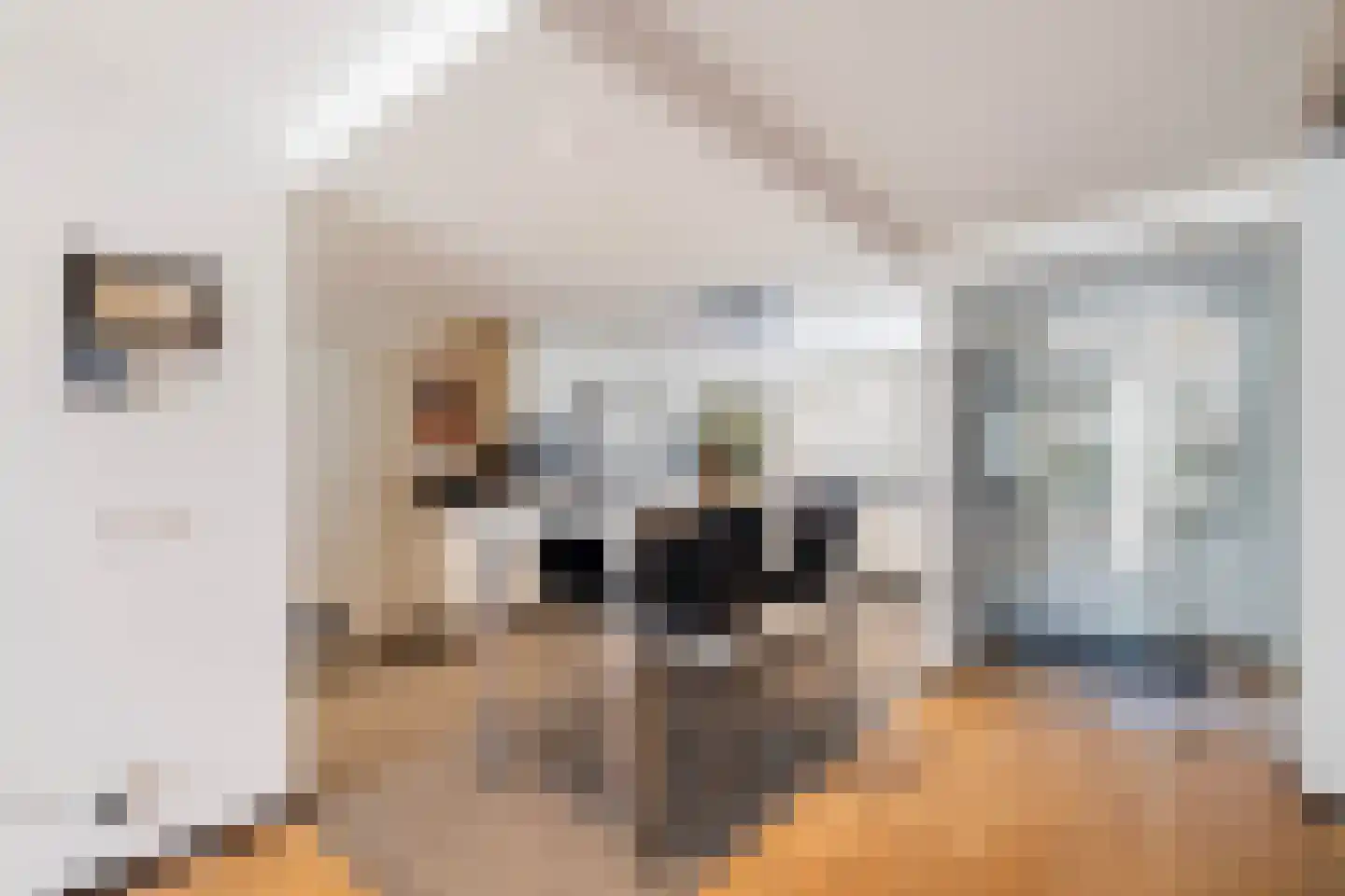 Gustave Dixonstraat 15 Rotterdam thumbnail 13