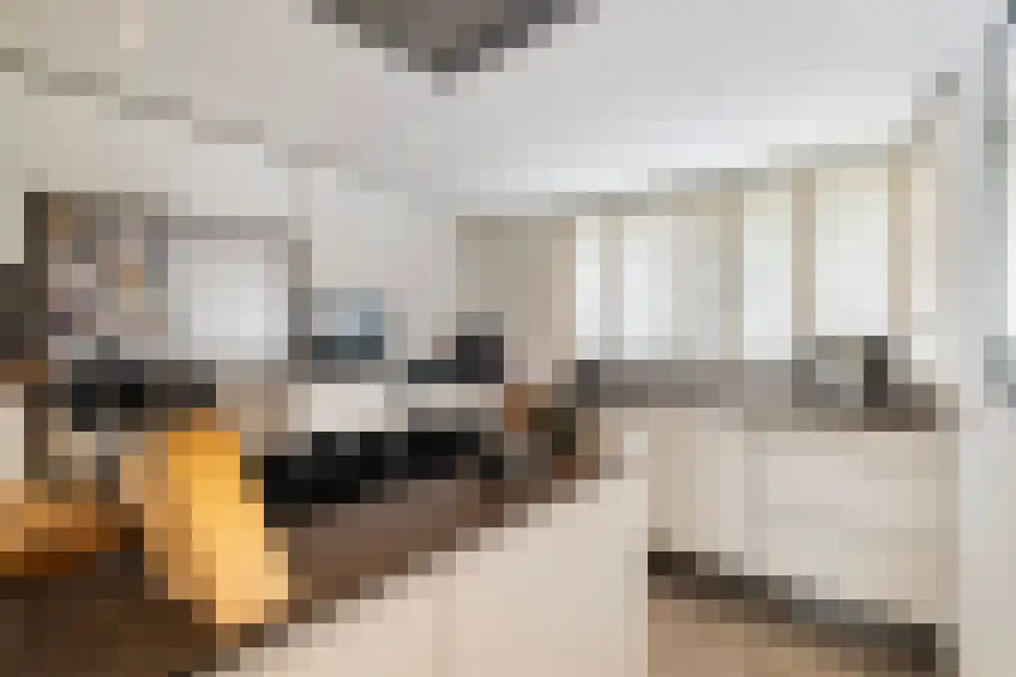 Gustave Dixonstraat 15 Rotterdam thumbnail 15