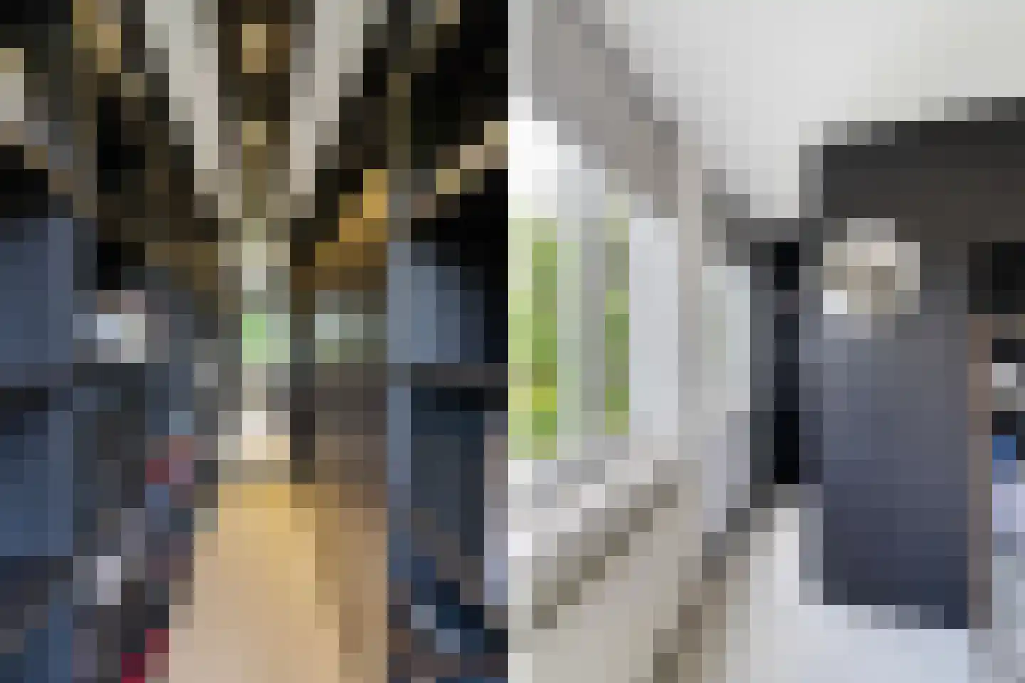 Gustave Dixonstraat 15 Rotterdam thumbnail 24