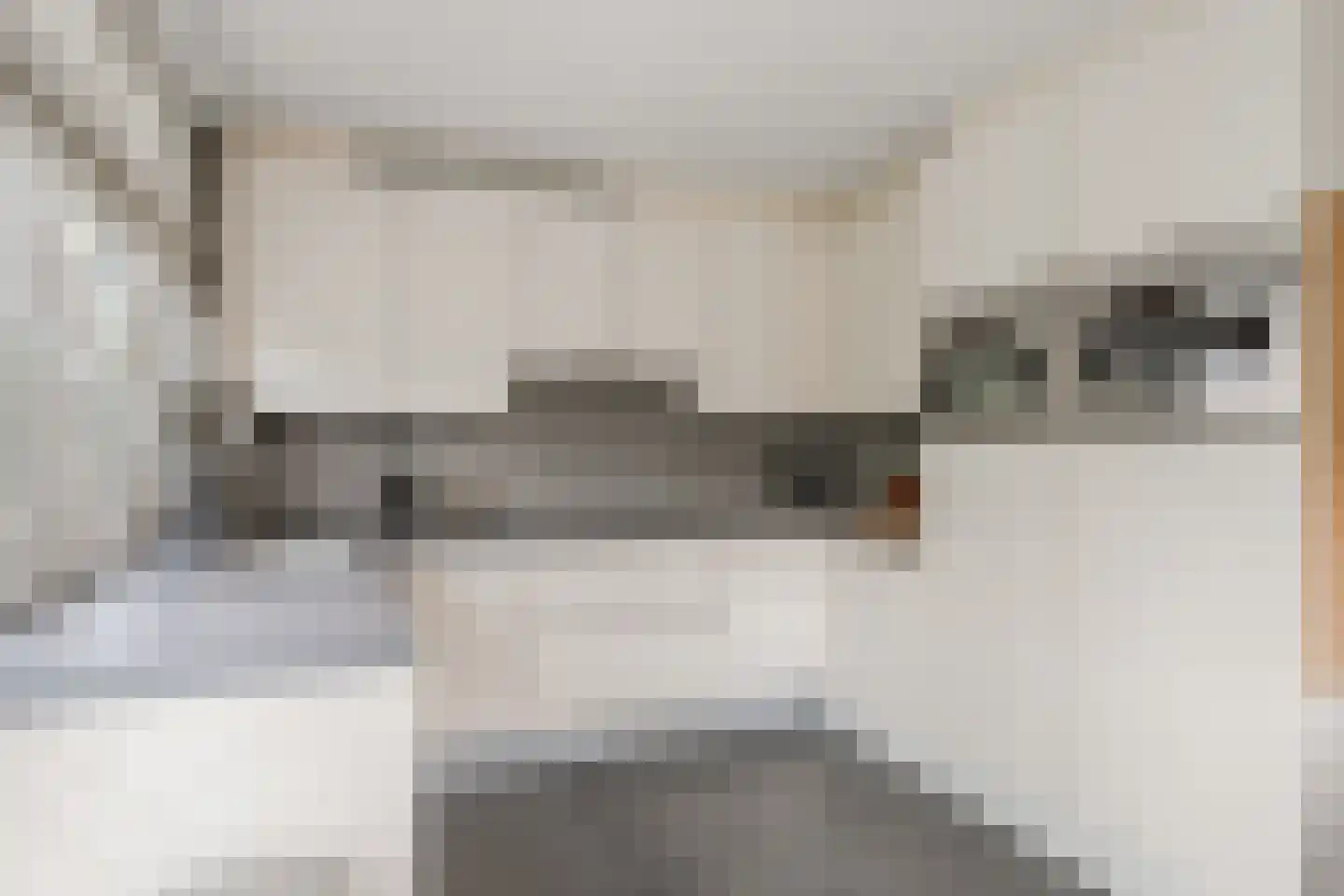 Gustave Stresemannstraat 32 Diemen thumbnail 34