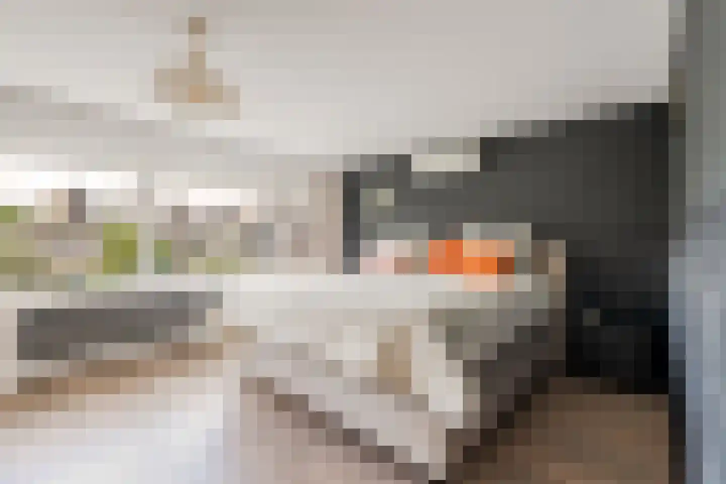 Gustave Stresemannstraat 32 Diemen thumbnail 42
