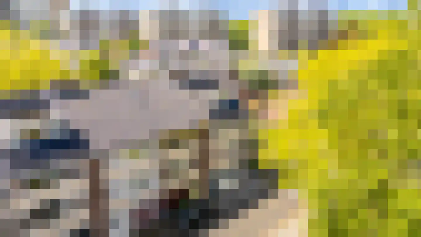 Gustave Stresemannstraat 32 Diemen thumbnail 61