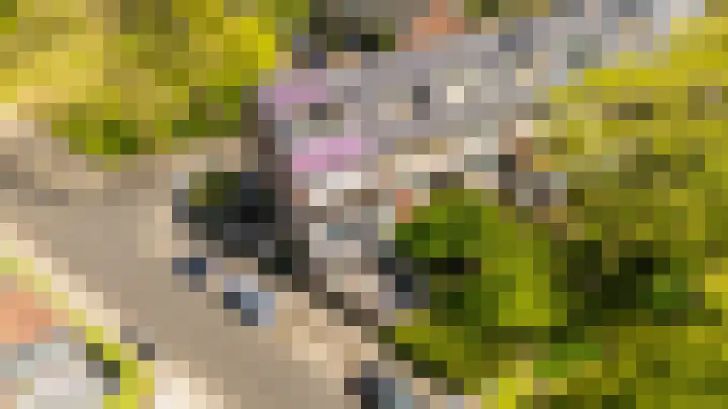 Gustave Stresemannstraat 32 Diemen thumbnail 63