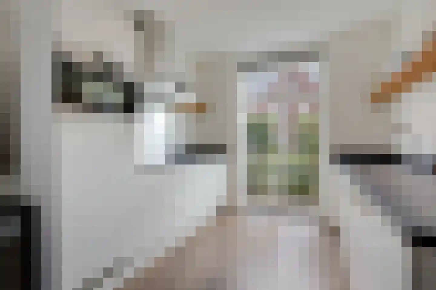 Gutspad 17 Zevenaar thumbnail 20