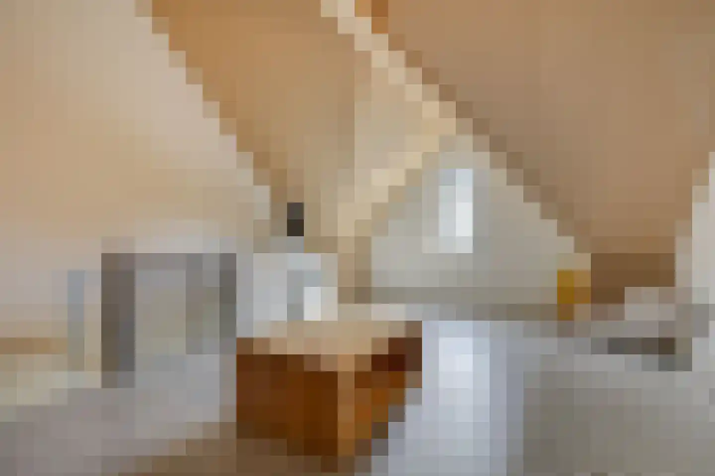 Gutspad 17 Zevenaar thumbnail 32