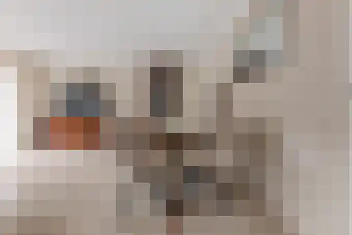Guurtje Riemenshof 13 Leiden thumbnail 10