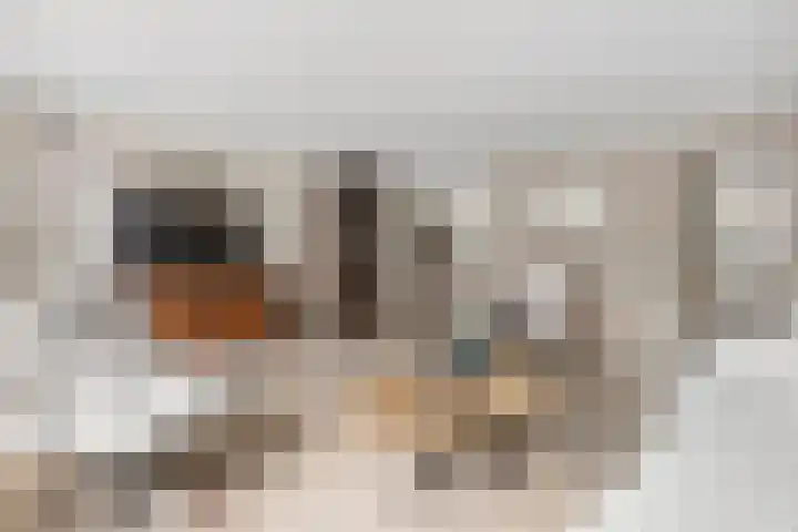 Guurtje Riemenshof 13 Leiden thumbnail 12