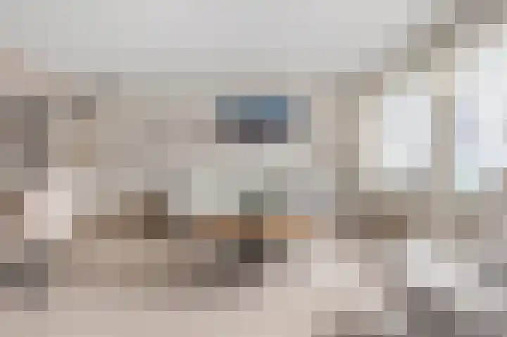 Guurtje Riemenshof 13 Leiden thumbnail 16