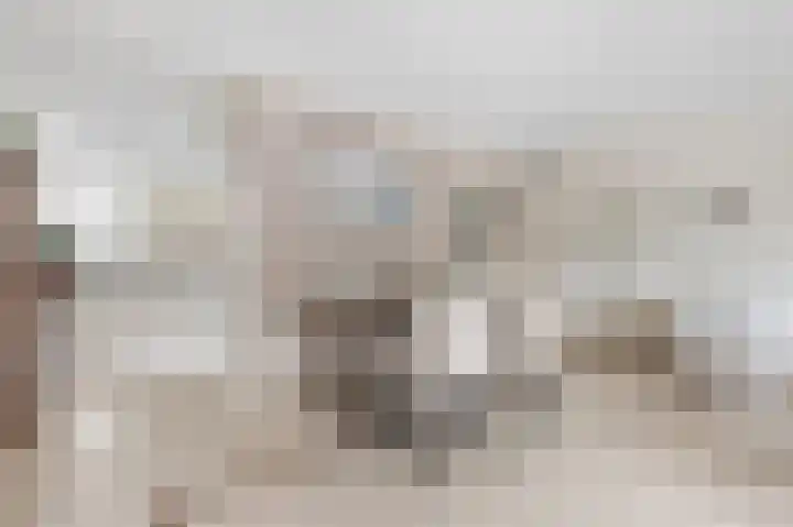 Guurtje Riemenshof 13 Leiden thumbnail 17