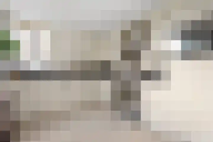 Guurtje Riemenshof 13 Leiden thumbnail 19