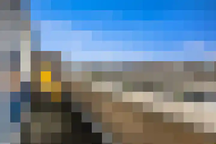 Guurtje Riemenshof 13 Leiden thumbnail 62