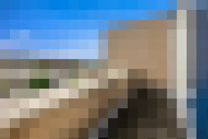 Guurtje Riemenshof 13 Leiden thumbnail 64