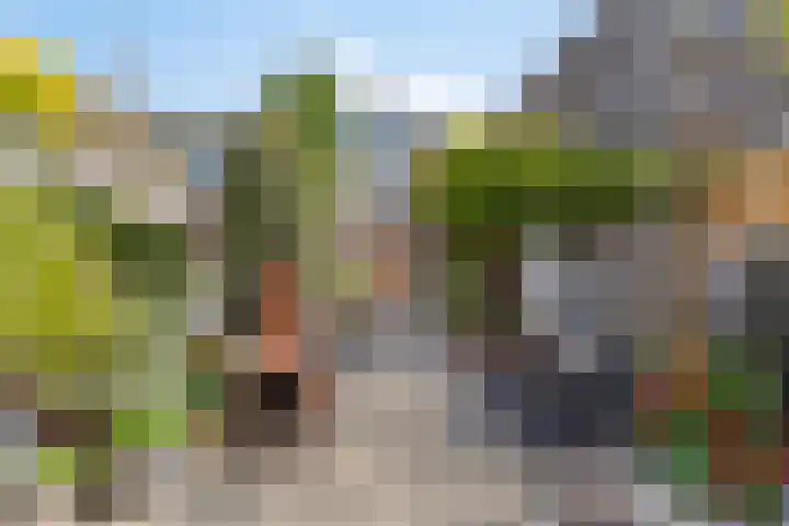 Guurtje Riemenshof 9 Leiden thumbnail 11